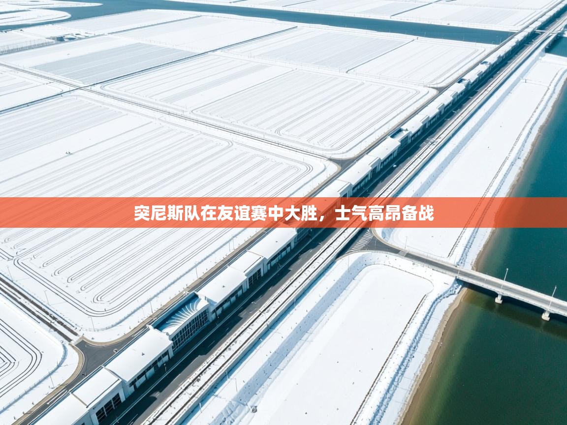 突尼斯队在友谊赛中大胜，士气高昂备战  第2张