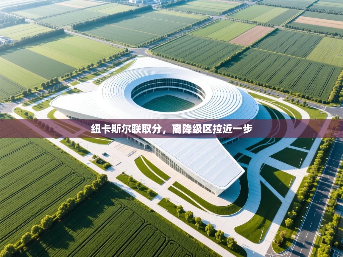 纽卡斯尔联取分，离降级区拉近一步  第2张